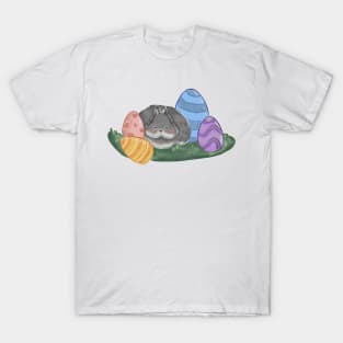 Sleeping Rabbit with the eggs T-Shirt